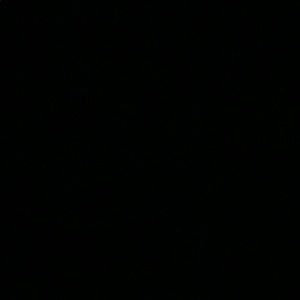 Meet your Posher, Noah